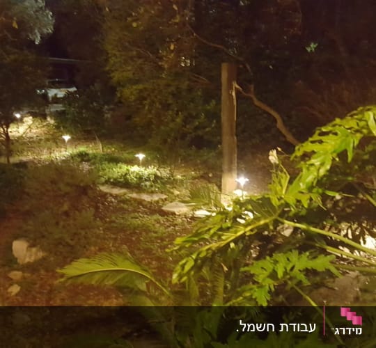 תאורת גינה בלילה עם צמחייה מסביב